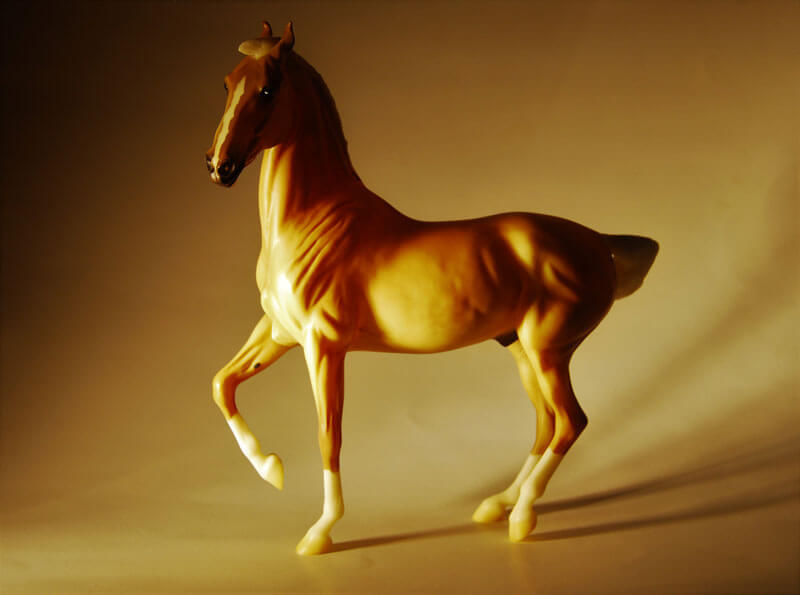 A portrait photo of a Horse, taken by Eli Beauvais