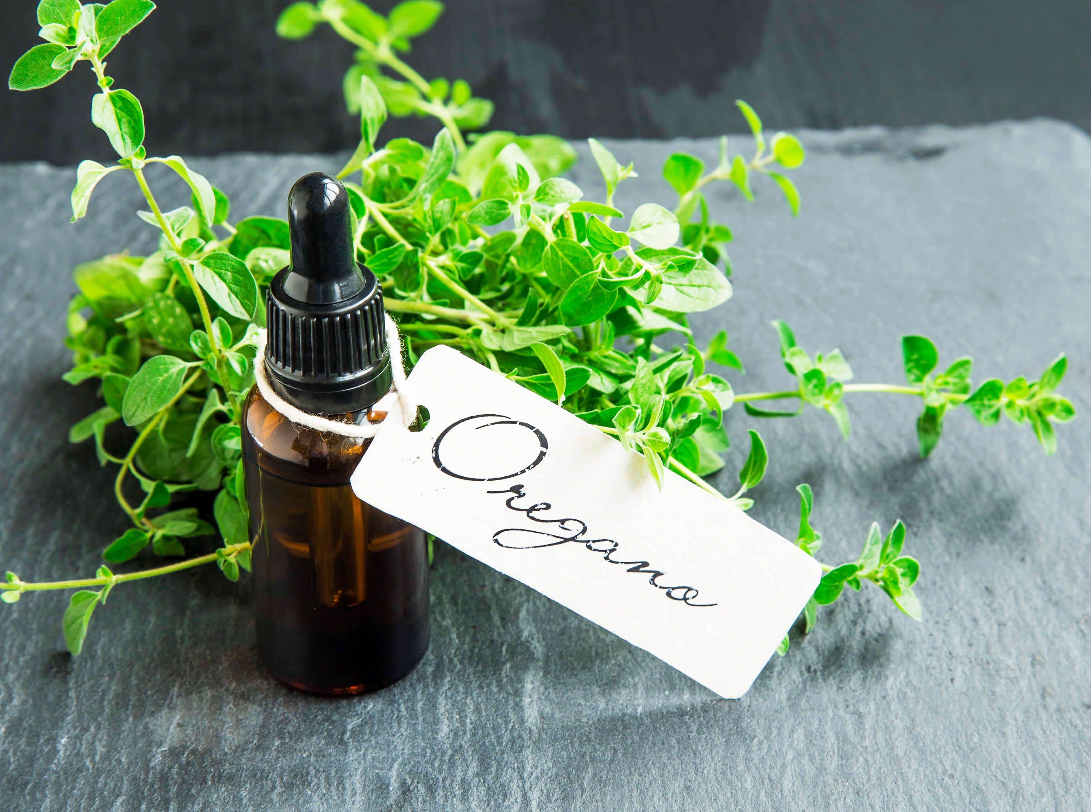 Oregano oil bottle with label and oregano herb bunch
