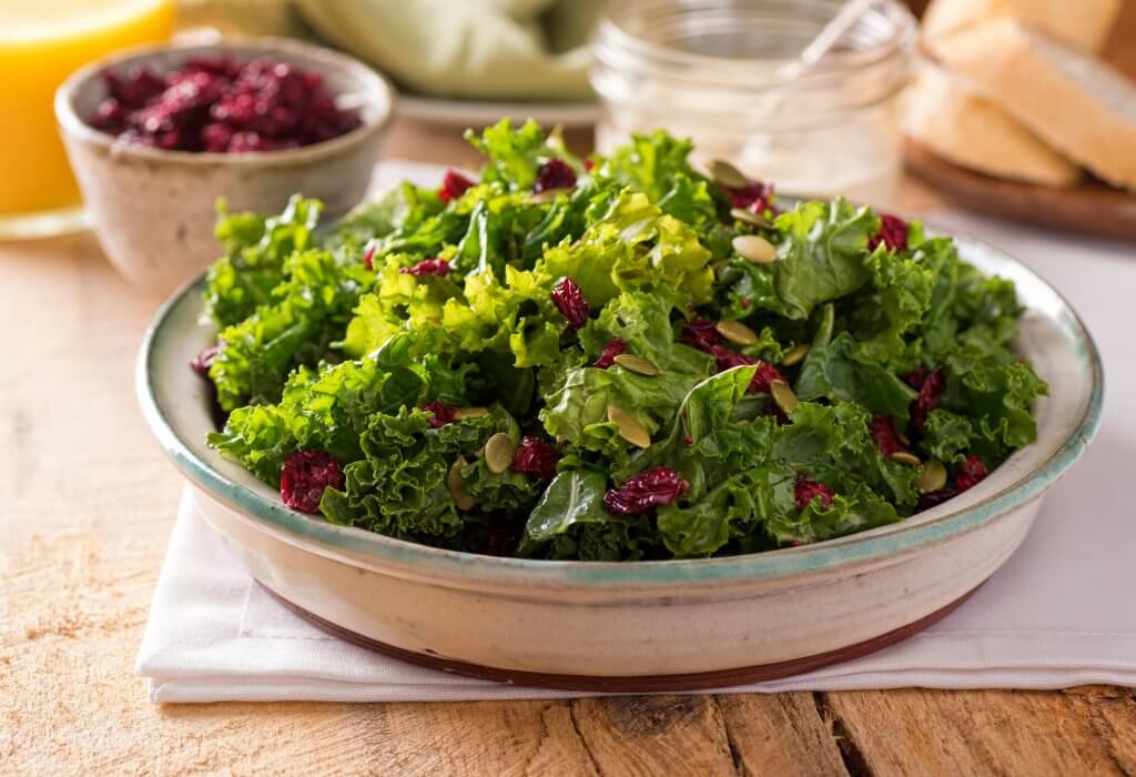 Kale salad with dried cranberries