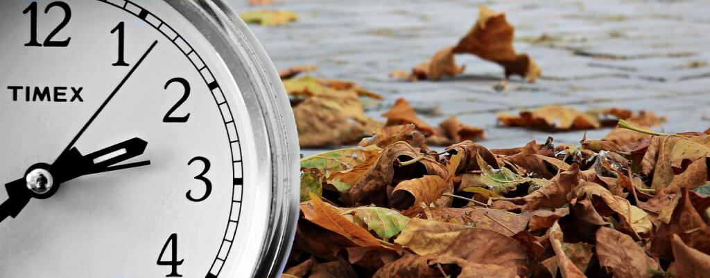 clock next to fallen leaves
