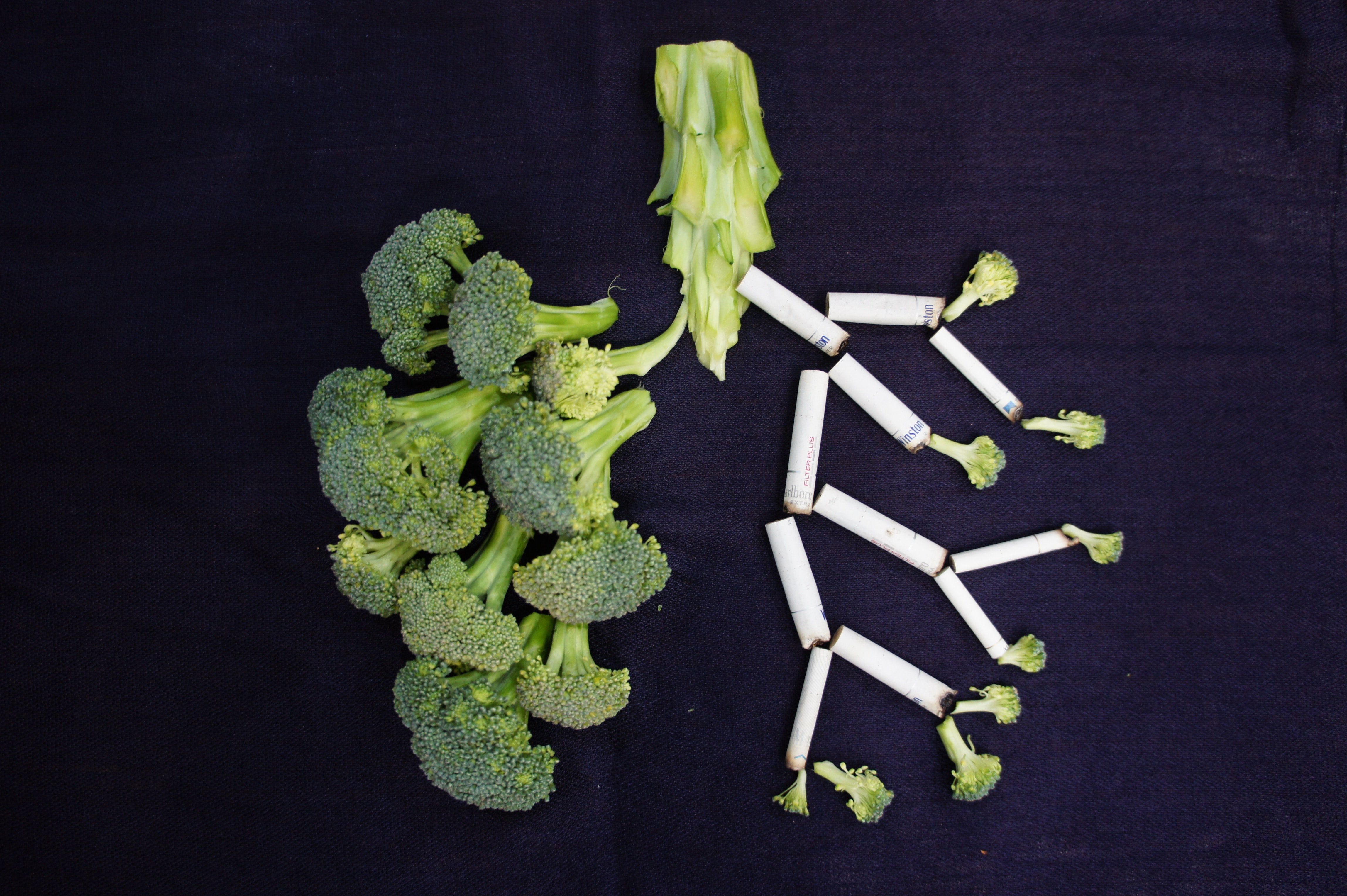 broccoli placed in the shape of a lung