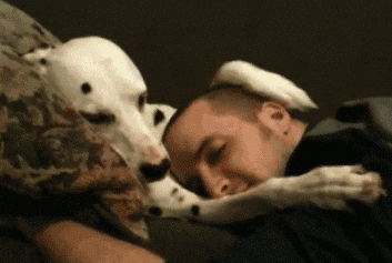 A man rests his head on his dog's stomach while the dog strokes the man's head.