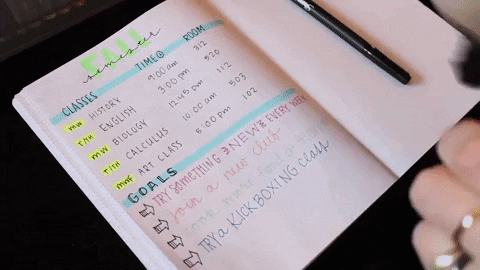 Gif of a hand writing, "Conquer this year," in a colour-coded bullet journal.