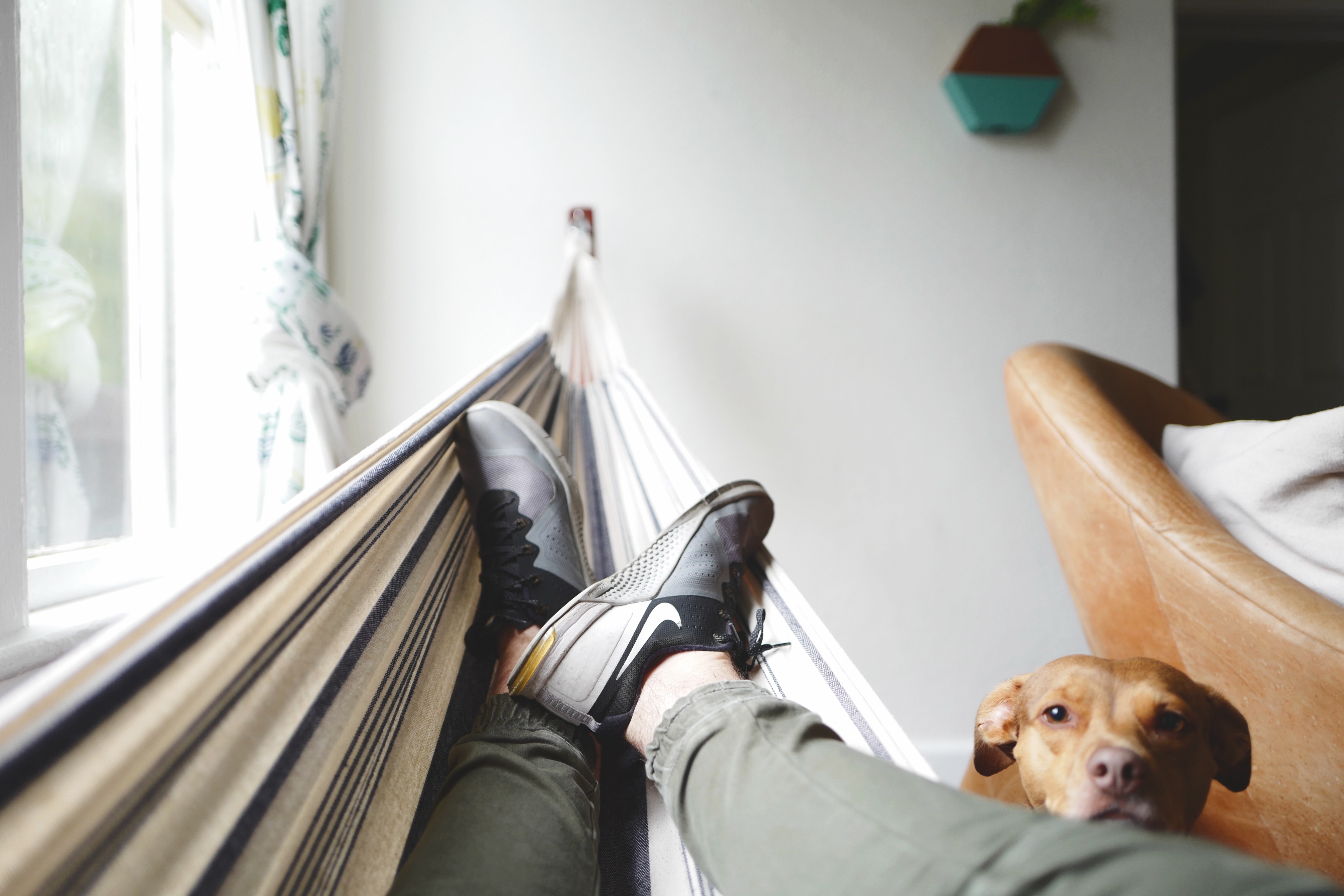 Feet in a hammock indoor with a dog looking at the camera