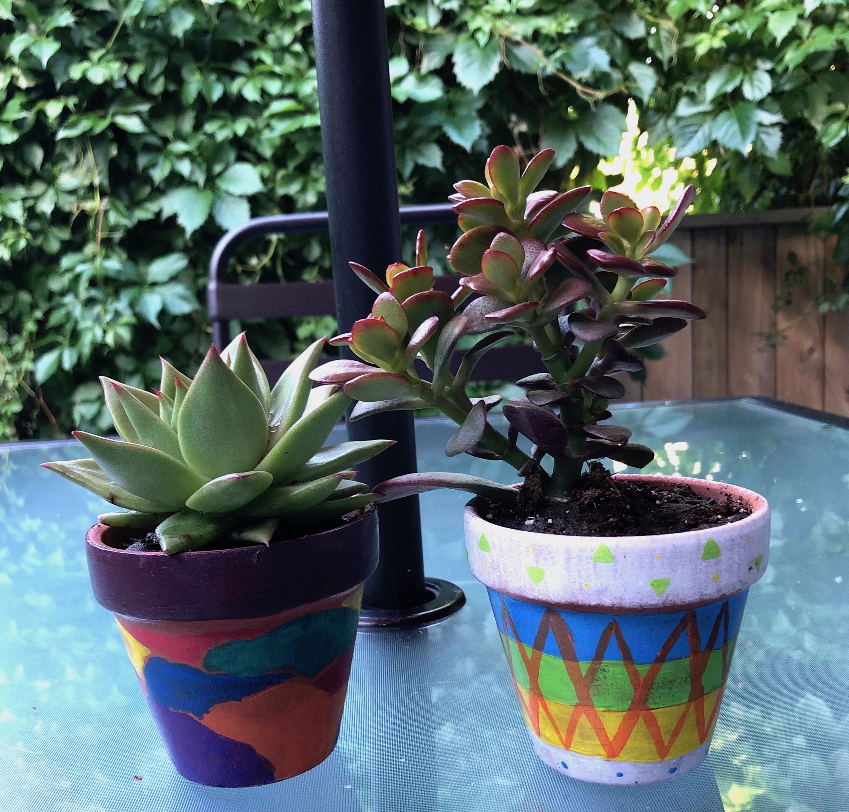 Two small succulents in painted flower pots.