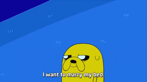 Jake the Dog from Adventure Time saying "I want to marry my bed" while walking in a blue field.