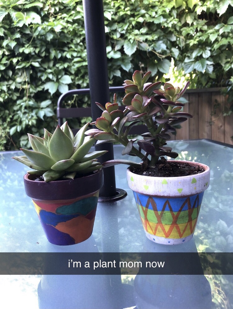 Two potted succulents with the caption, “I’m a plant mom now.”