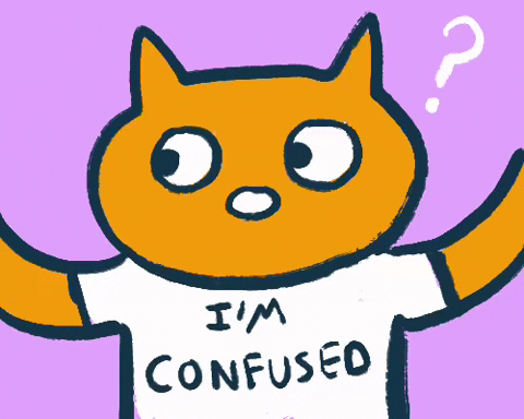 Cat in an "I'm confused" T-shirt.