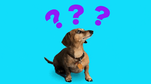 A dog confused with question marks.