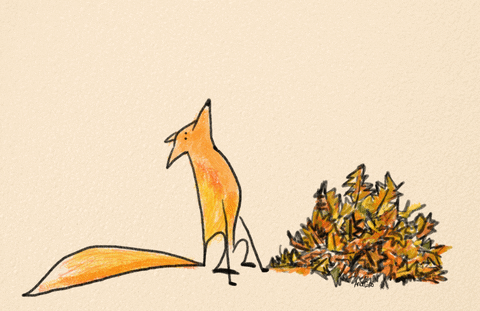 A fox watches leaves fall to the ground,