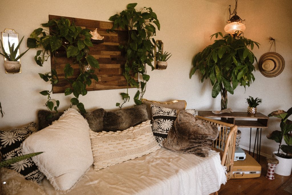 cozy couch set up with pillows, warm lighting and plants