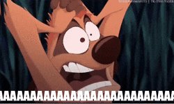 Timon and Pumba from "The Lion King" freaking out yelling "AHHH."