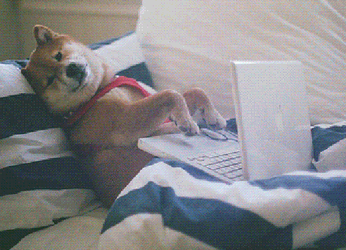 A dog typing on a laptop.