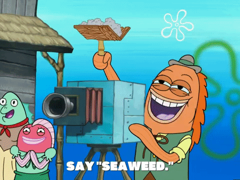 A fish from Spongebob Squarepants says, "Say 'seaweed.'"