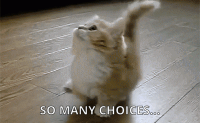 Cat looking around indecisively with the text "So many choices..."