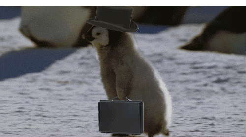 Baby penguin walking quickly with a top hat and brief case.