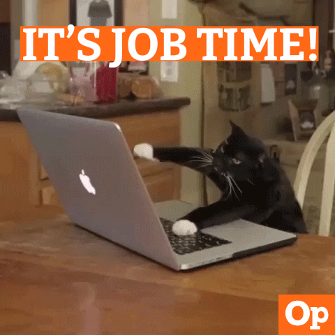 Cat rapidly typing on a computer with the text "It's job time!" above.