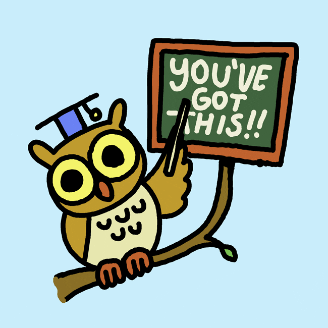 Cartoon owl with a scholar's cap and pointing stick with a sign that says "You've got this!!"