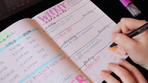 Someone is writing in a planner, the words weekend.

Organize sharpie marker GIF