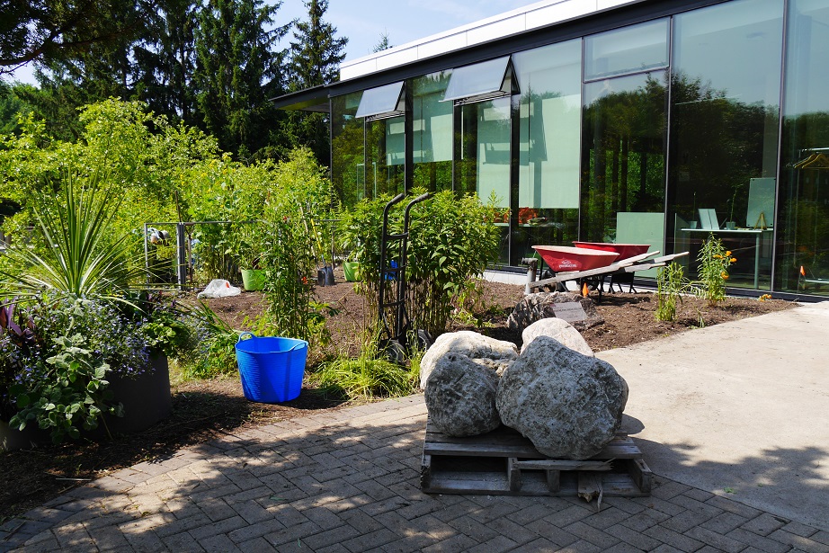 Photo of the Native Pollinator Demonstration Garden in the Humber Arboretum.