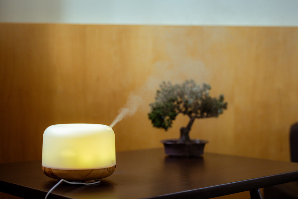 A humidifier and a bonsai on a table.