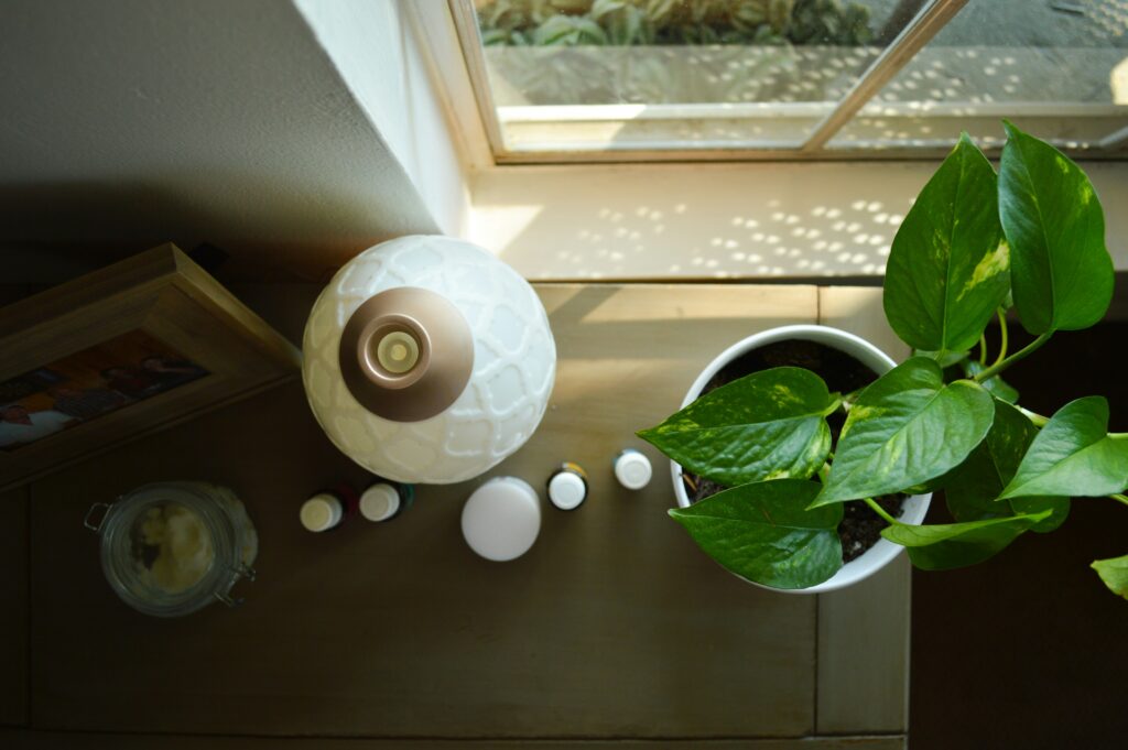 A pothos plant on a desk beside a window.