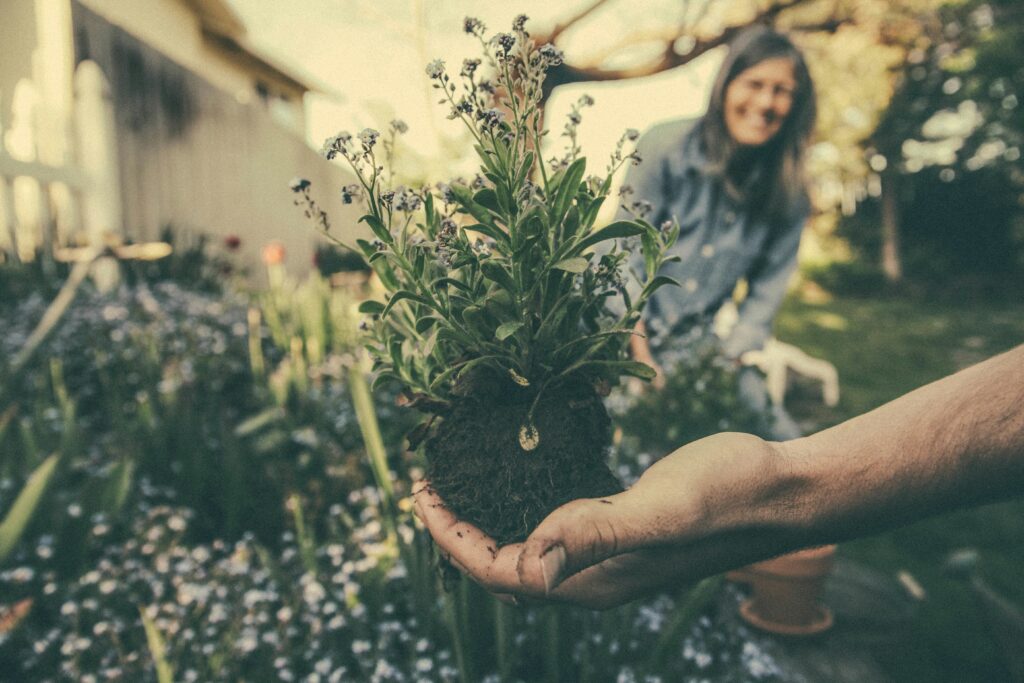 Picture of someone holding a plant with a woman in the background.