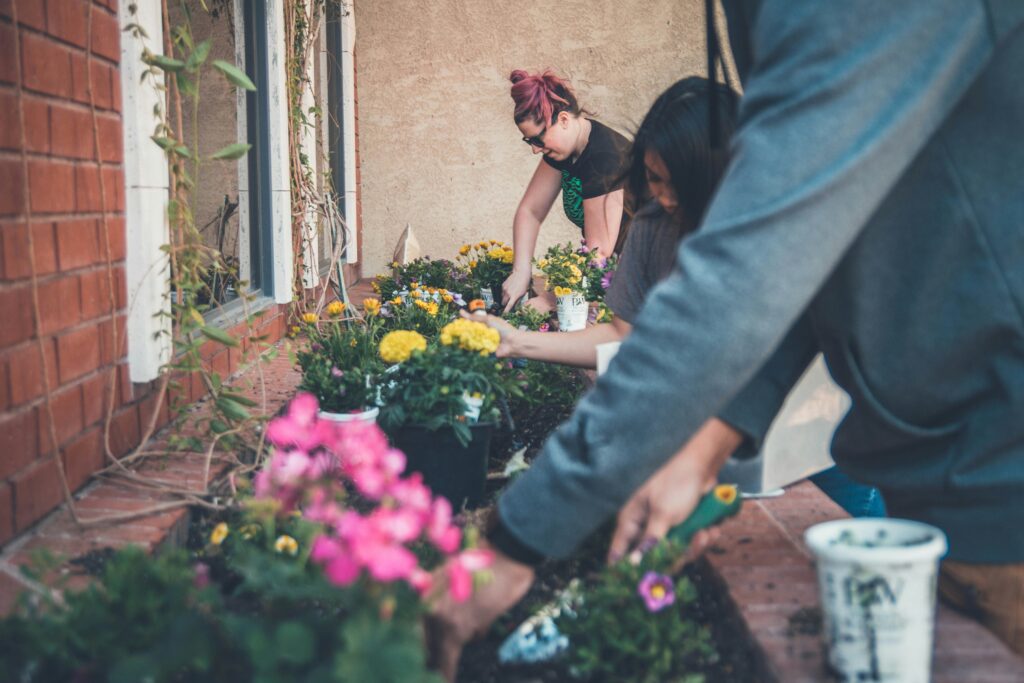 Picture of people taking care of a garden.