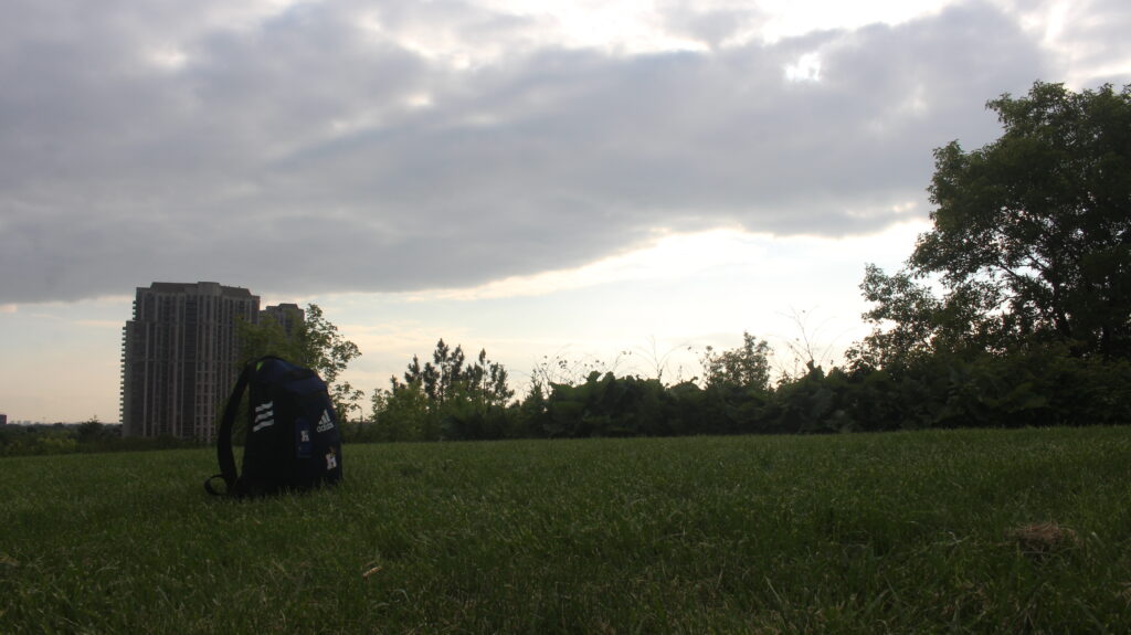 Picture of the sunset point at the Humber Arboretum.