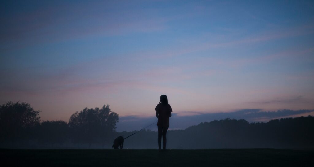 Picture of a silhouette of a person standing holding a dog as the sun rises.