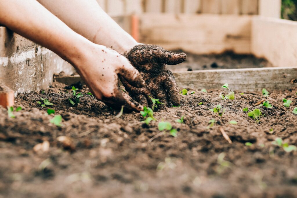 Picture of a person gardening.