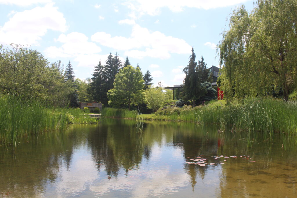 Picture of the Humber Arboretum.