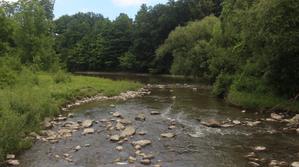 Picture of the Humber River at the Humber Arboretum.