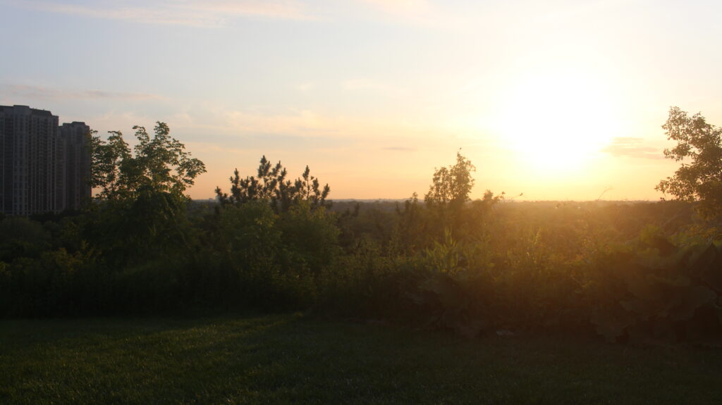 Picture of the sunset at the sunset point at the Humber Arboretum.