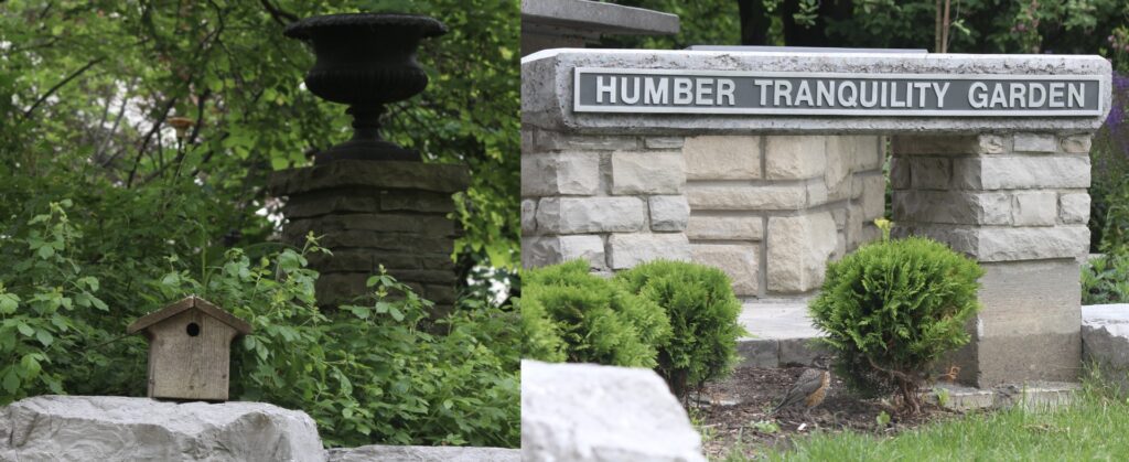 Pictures of the Tranquility Bird Garden at the Humber Arboretum.