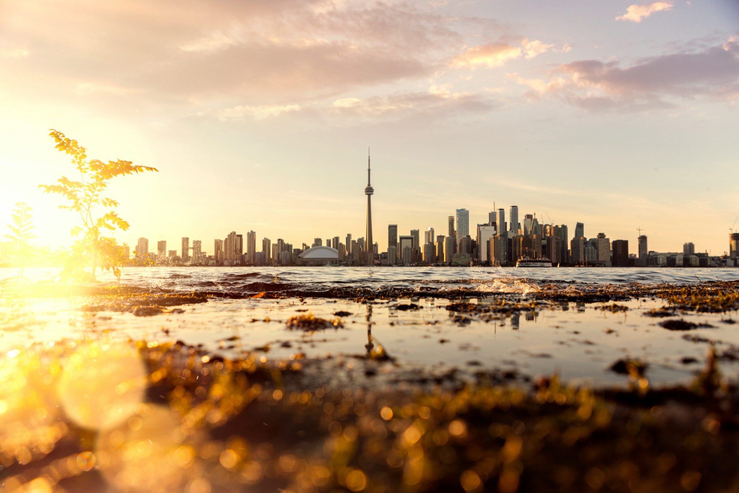 Toronto Island in a middle of fall season