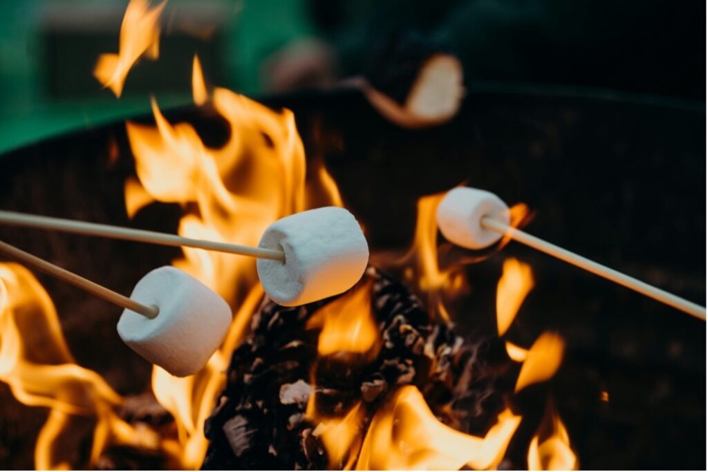 Marshmallows on fire pit. camping