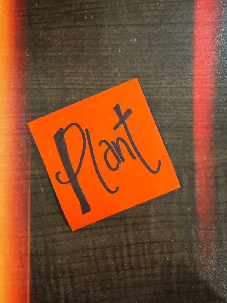 A paper with a written word "Plant".