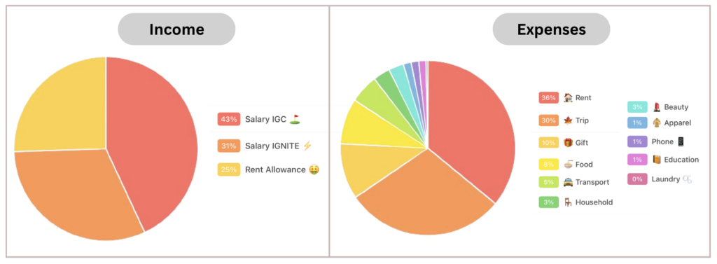 Two pie charts showing a breakdown of income and expense statements.
