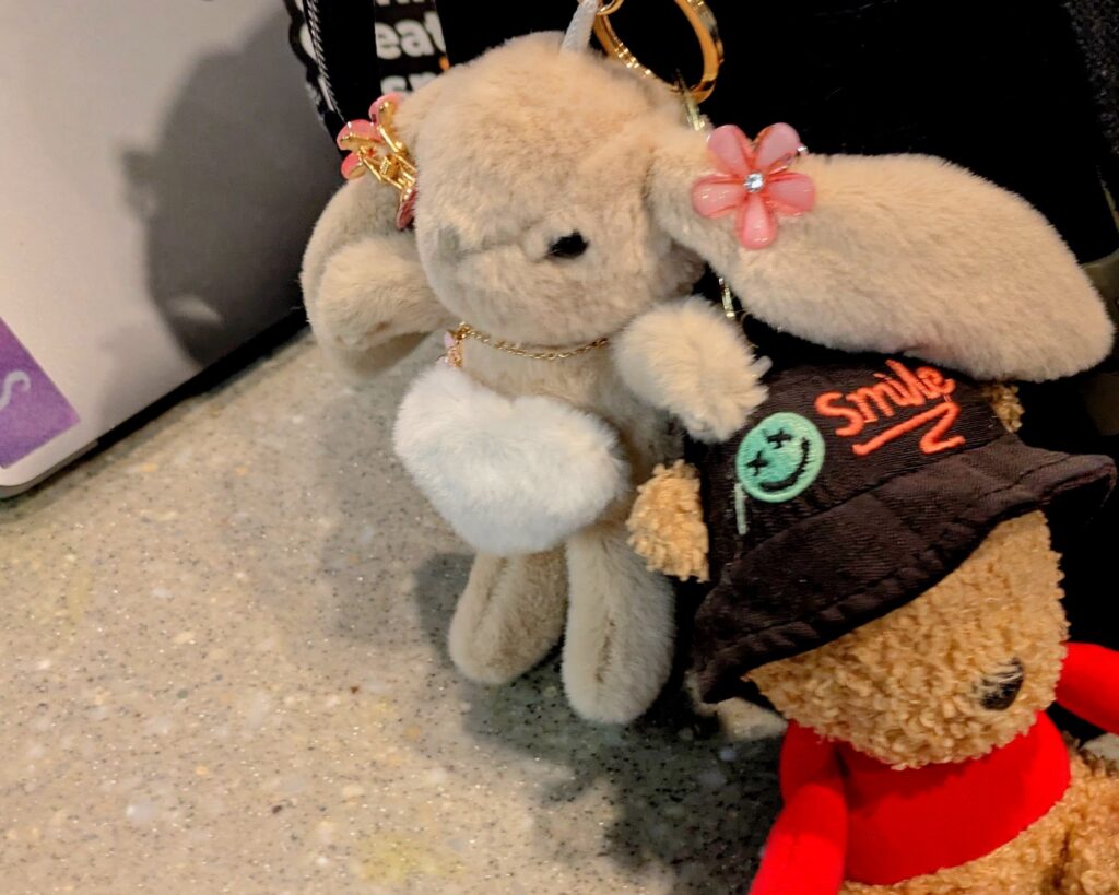 A backpack with a rabbit and bear plushy for a students expression.