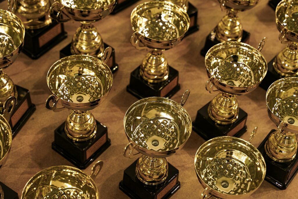 a top shot of a bunch of trophies