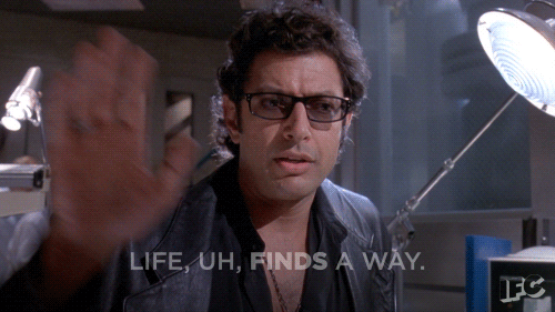 Jeff Goldblum in the film 'Jurassic Park' saying "Life, uh, finds a way."