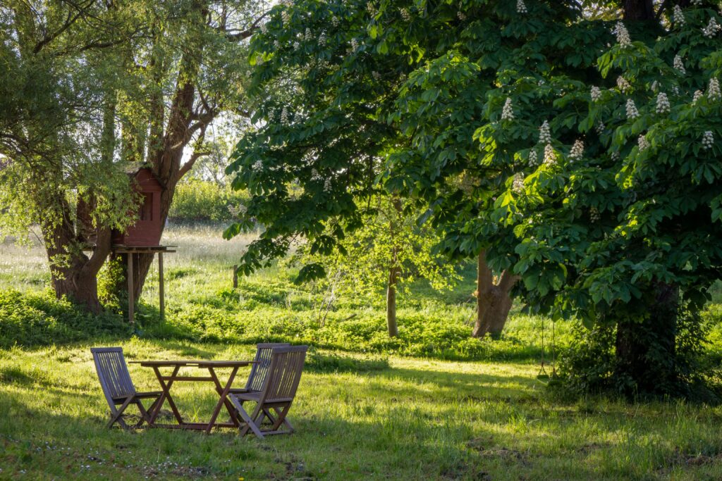 A photo of a garden with sun shining, large trees and two wooden chairs with a table in the middle